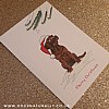 Chocolate Labrador Christmas Card (Flitter)